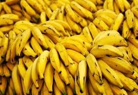Những bài thuốc chữa bệnh từ chuối tiêu